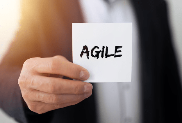 Agile Sprint Based Model